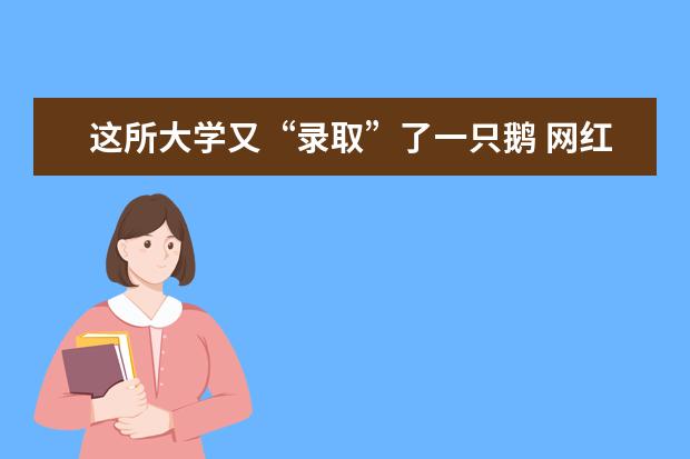 这所大学又“录取”了一只鹅 网红鹅迎来女朋友