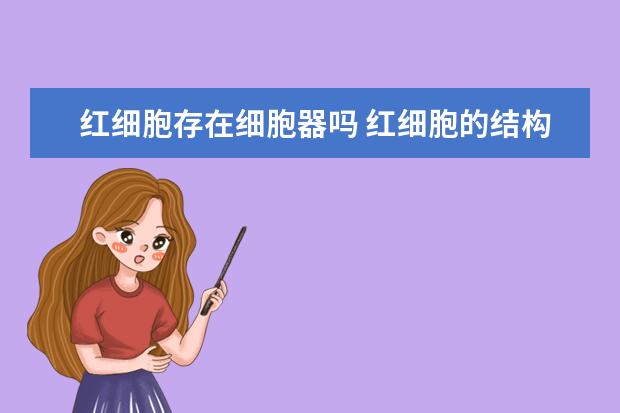 红细胞存在细胞器吗 红细胞的结构与作用是什么