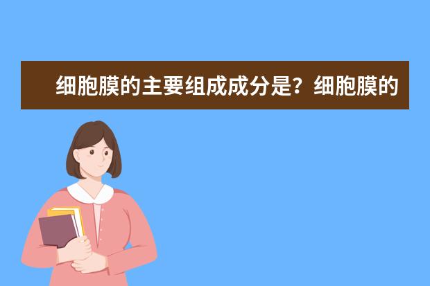 细胞膜的主要组成成分是？细胞膜的构造