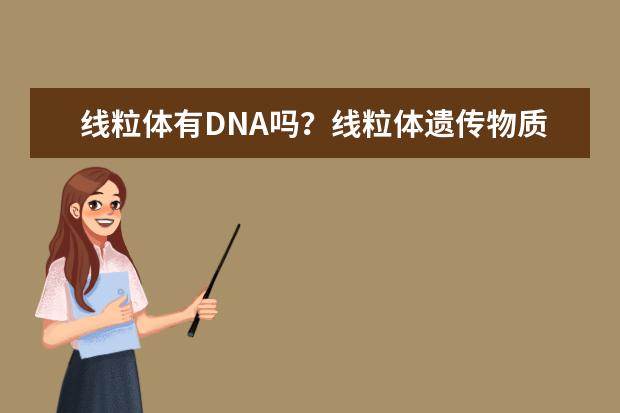 线粒体有DNA吗？线粒体遗传物质只含有DNA吗