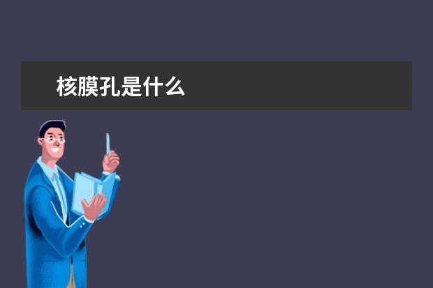 核膜孔是什么