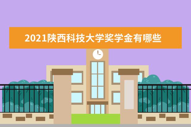 2021陕西科技大学奖学金有哪些 奖学金一般多少钱?