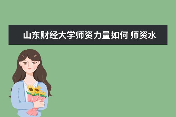 山东财经大学师资力量如何 师资水平怎么样