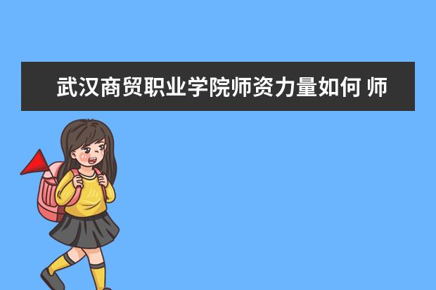 武汉商贸职业学院师资力量如何 师资水平怎么样