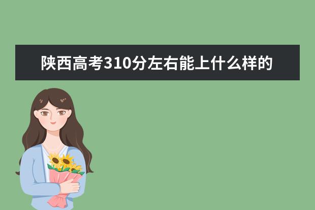 陕西高考310分左右能上什么样的大学