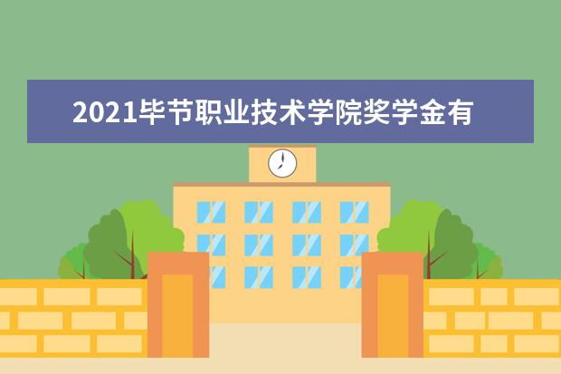 2021毕节职业技术学院奖学金有哪些 奖学金一般多少钱?