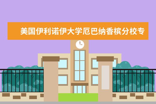 美国伊利诺伊大学厄巴纳香槟分校专业课程