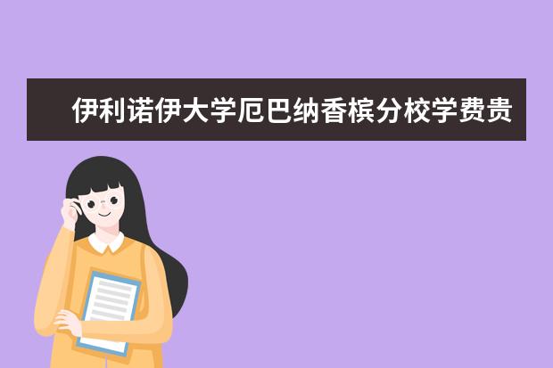 伊利诺伊大学厄巴纳香槟分校学费贵不贵？看完心里就有数了！