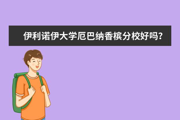 伊利诺伊大学厄巴纳香槟分校好吗？留学值吗？