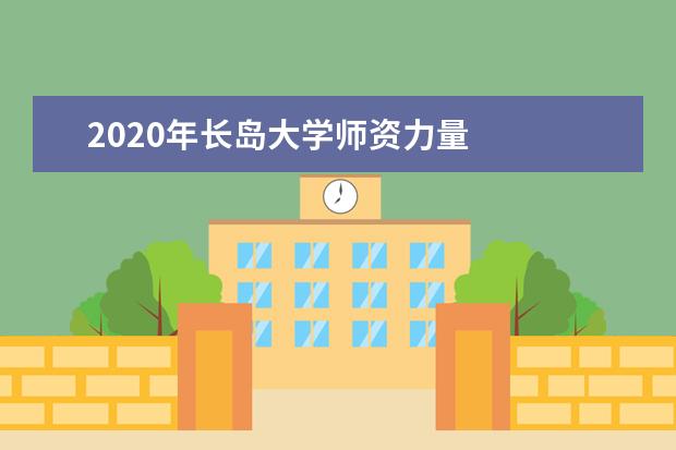 2020年长岛大学师资力量