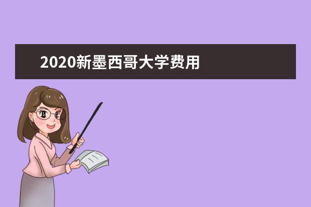 2020新墨西哥大学费用