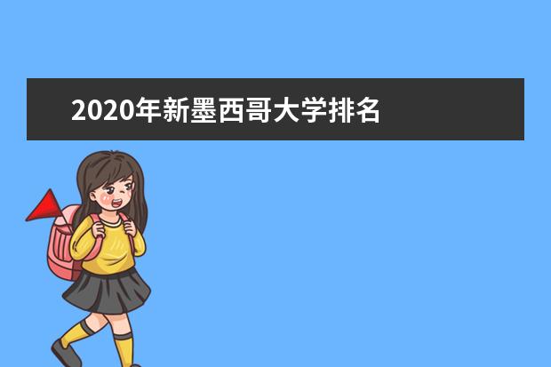 2020年新墨西哥大学排名