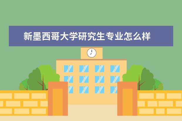 新墨西哥大学研究生专业怎么样