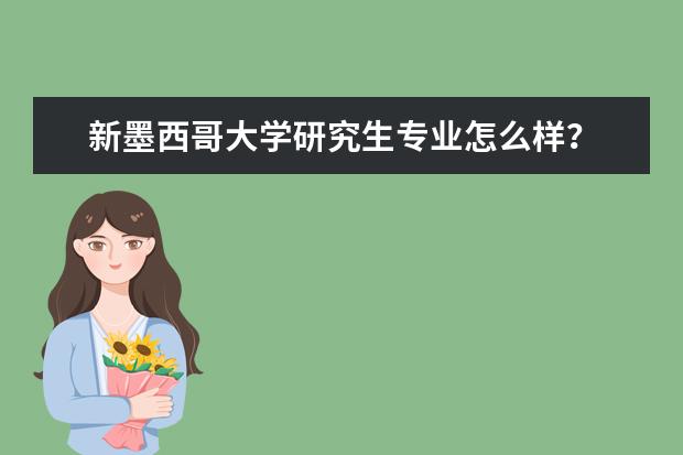 新墨西哥大学研究生专业怎么样？