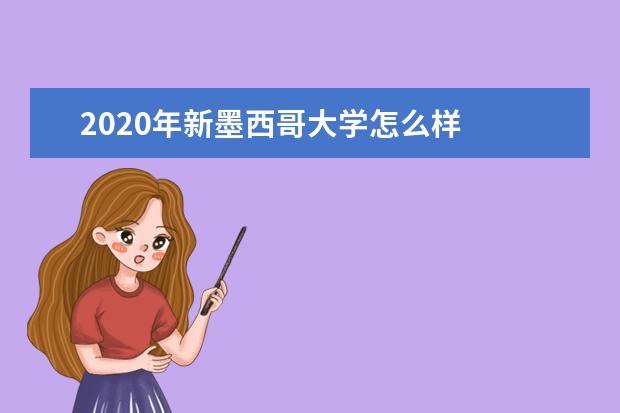 2020年新墨西哥大学怎么样