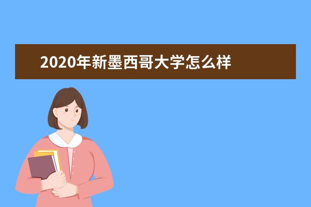 2020年新墨西哥大学怎么样