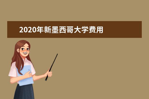 2020年新墨西哥大学费用