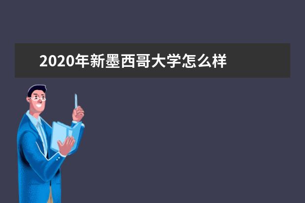 2020年新墨西哥大学怎么样