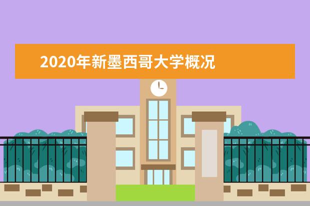 2020年新墨西哥大学概况