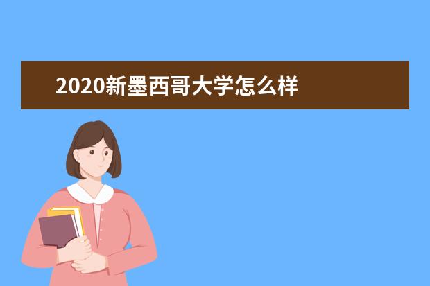 2020新墨西哥大学怎么样