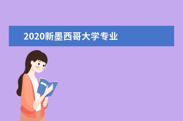 2020新墨西哥大学专业