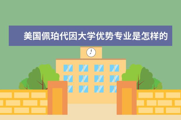 美国佩珀代因大学优势专业是怎样的？