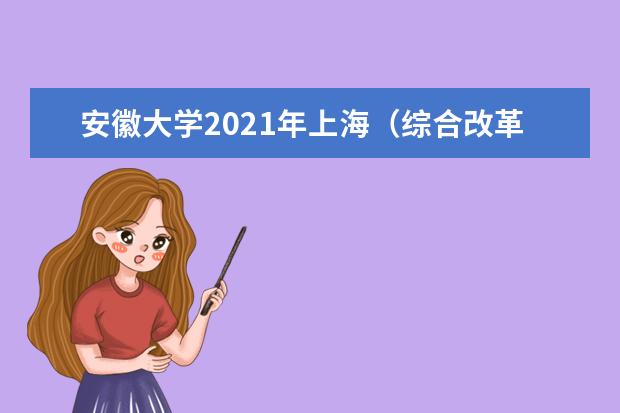 安徽大学2021年上海（综合改革）中外合作办学分专业录取分数线